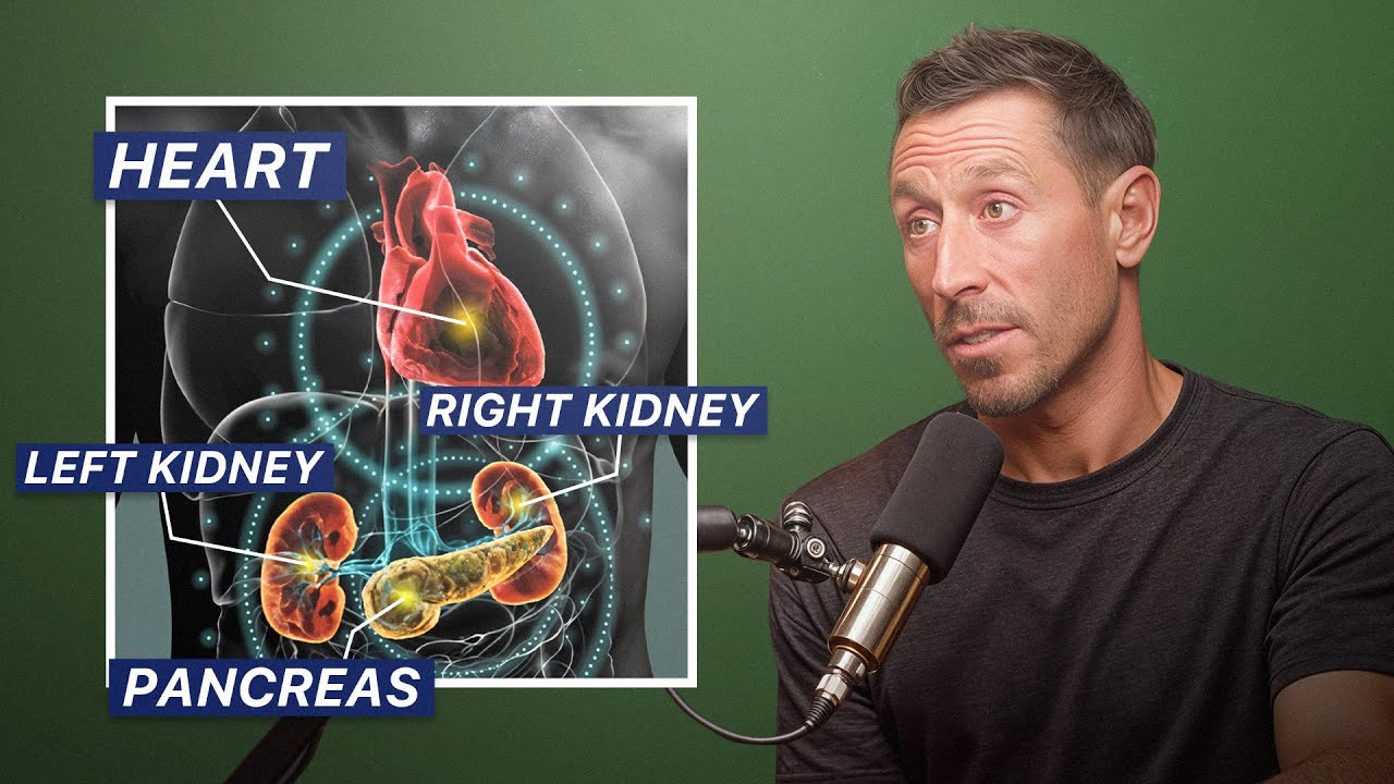 The Real Cause of Metabolic Dysfunction & How to Prevent It