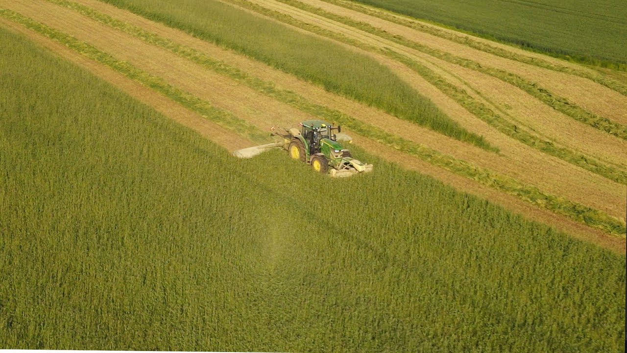 [ETA Jacquemin Lang] 😱2 groupe de fauche différent à l'ensilage de méteil et de trèfles💨☘️