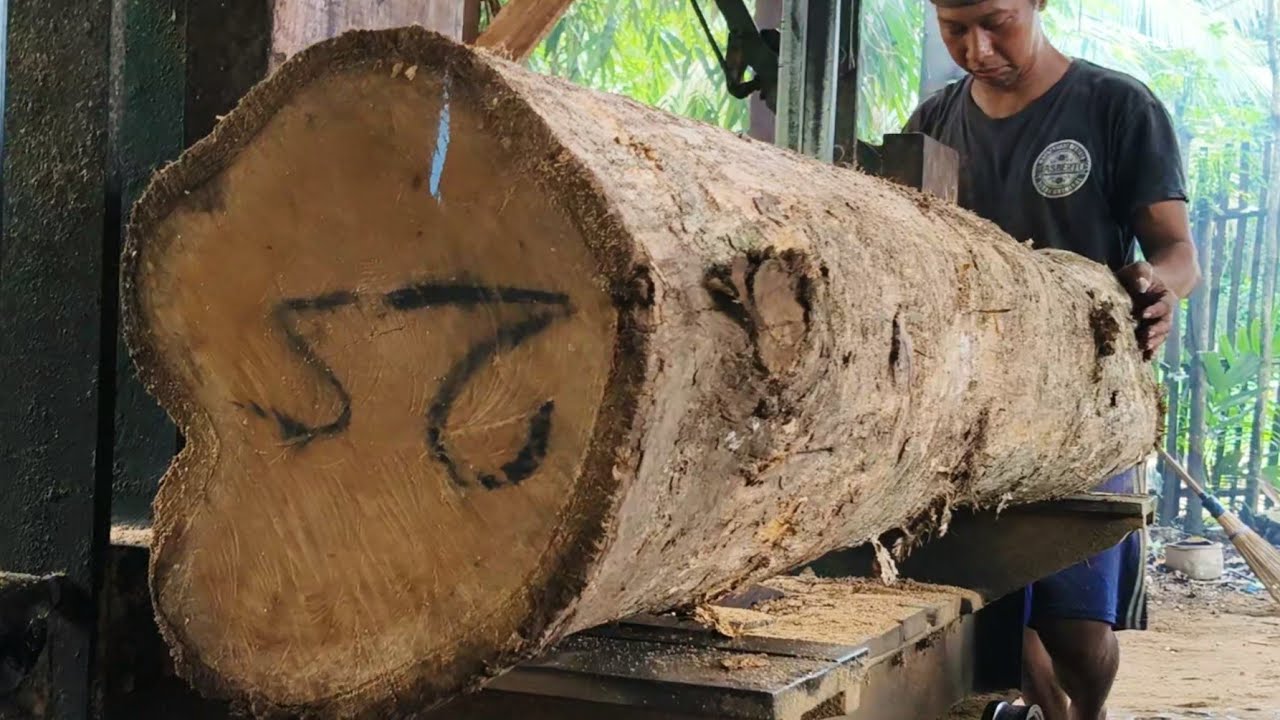 The process of turning teak wood into beautiful sheets 