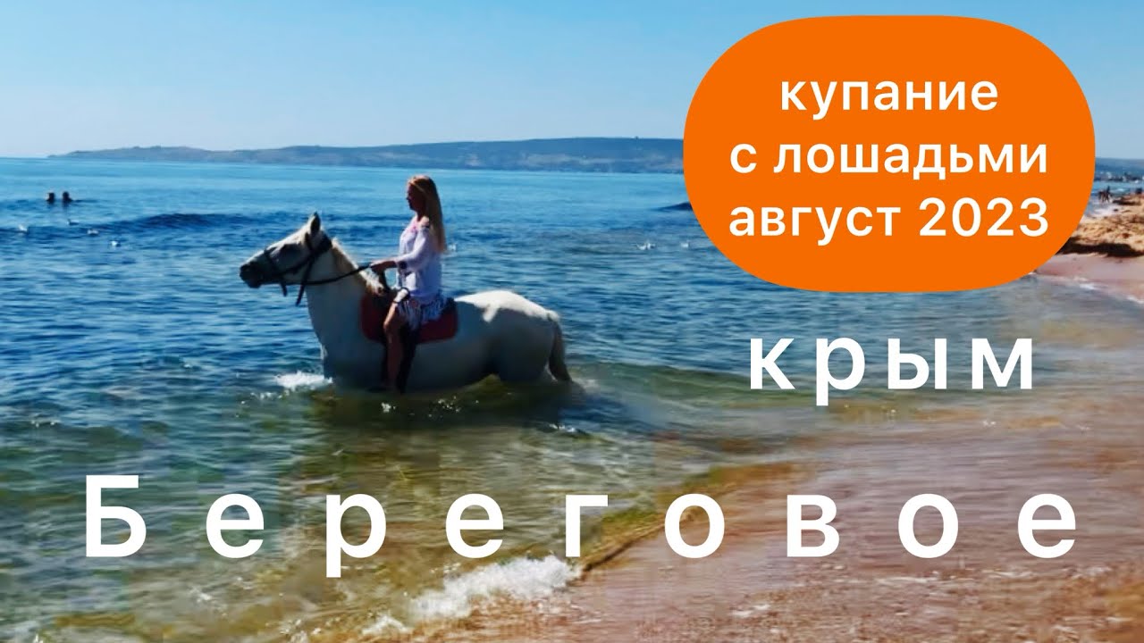 КРыМ, август 2023, Береговое, купание с лошадьми