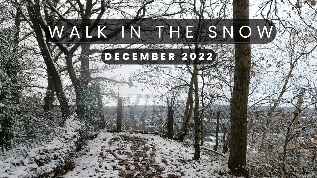 Walk in the Snow - December 2022