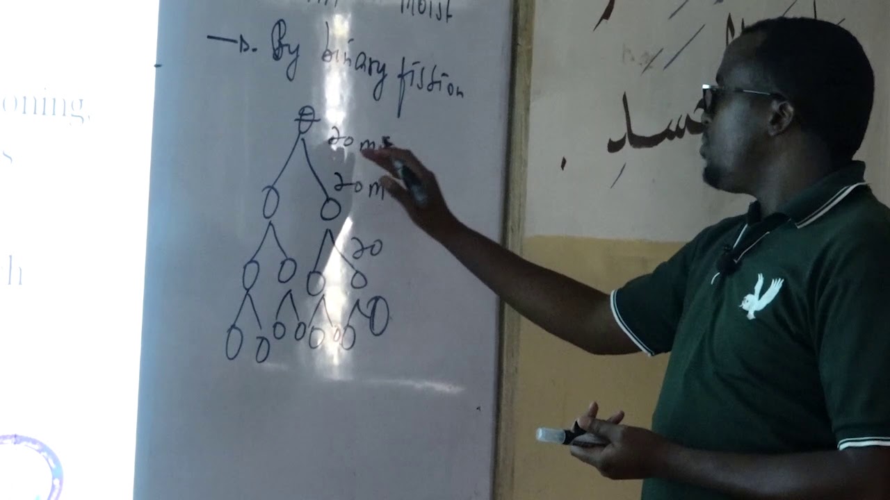 Health Education