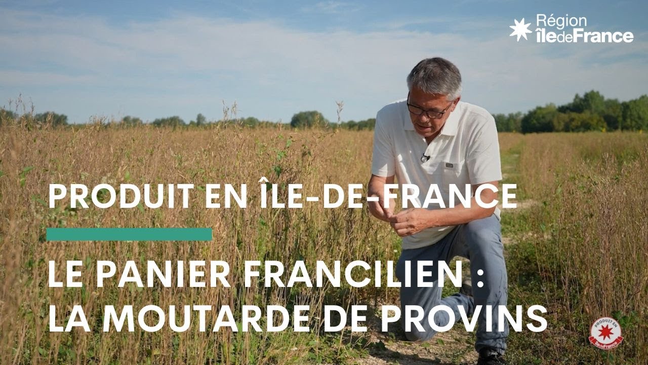 Le panier francilien - La moutarde de Provins