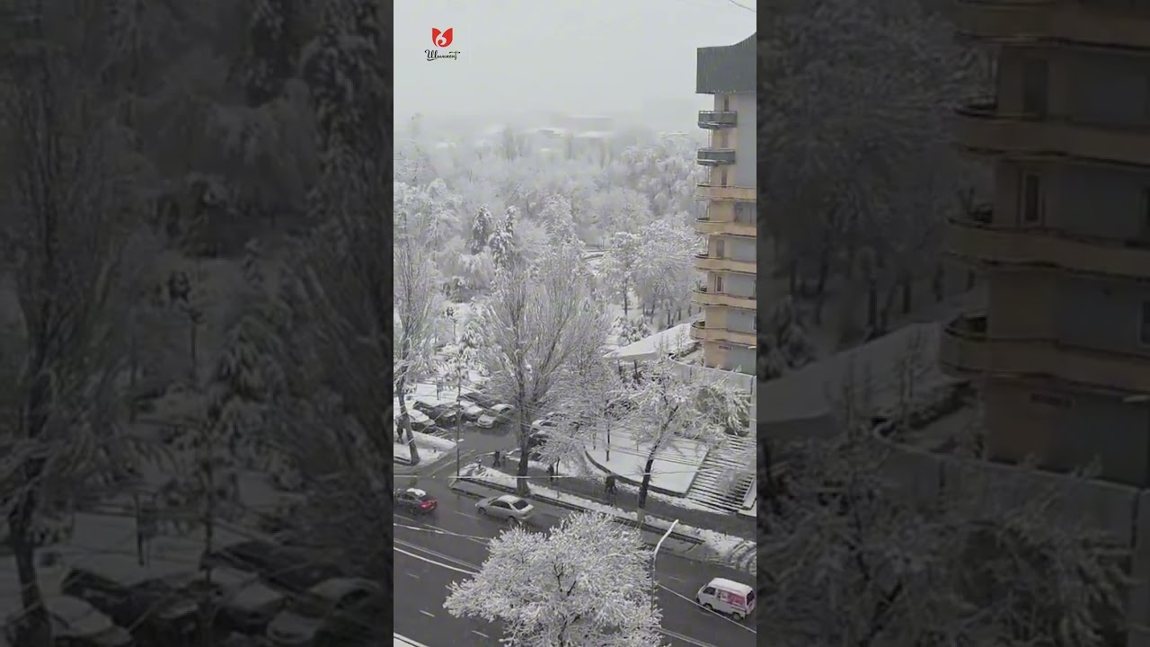 У Шымкента нет плохой погоды, каждая погода благодать