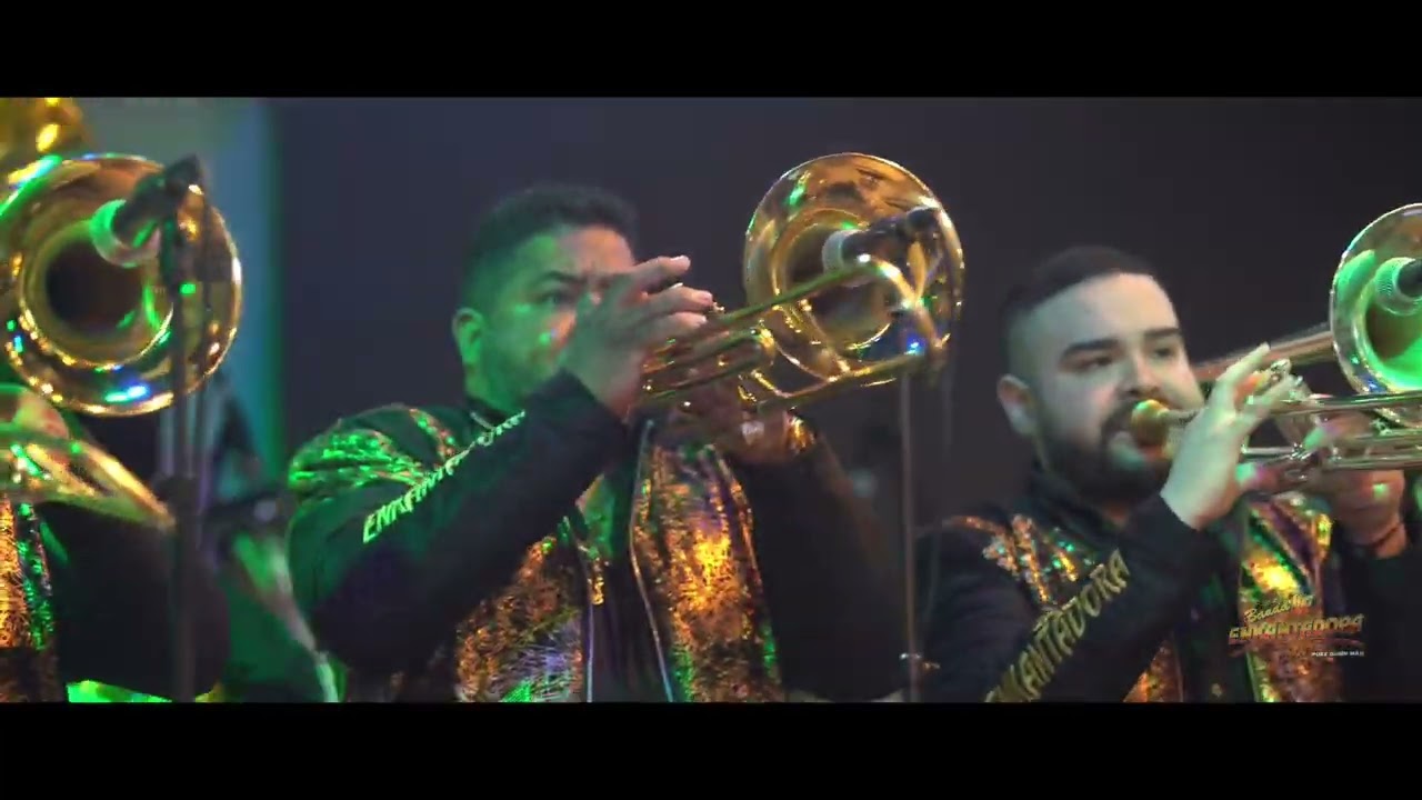 Se Fue La Pantera 