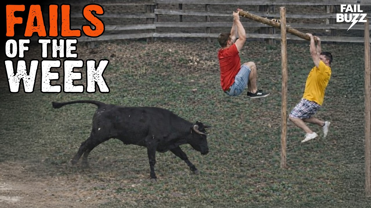 Funny Videos Try Not to Laugh | Funny Fails Compilation | People Failing Hilariously P6