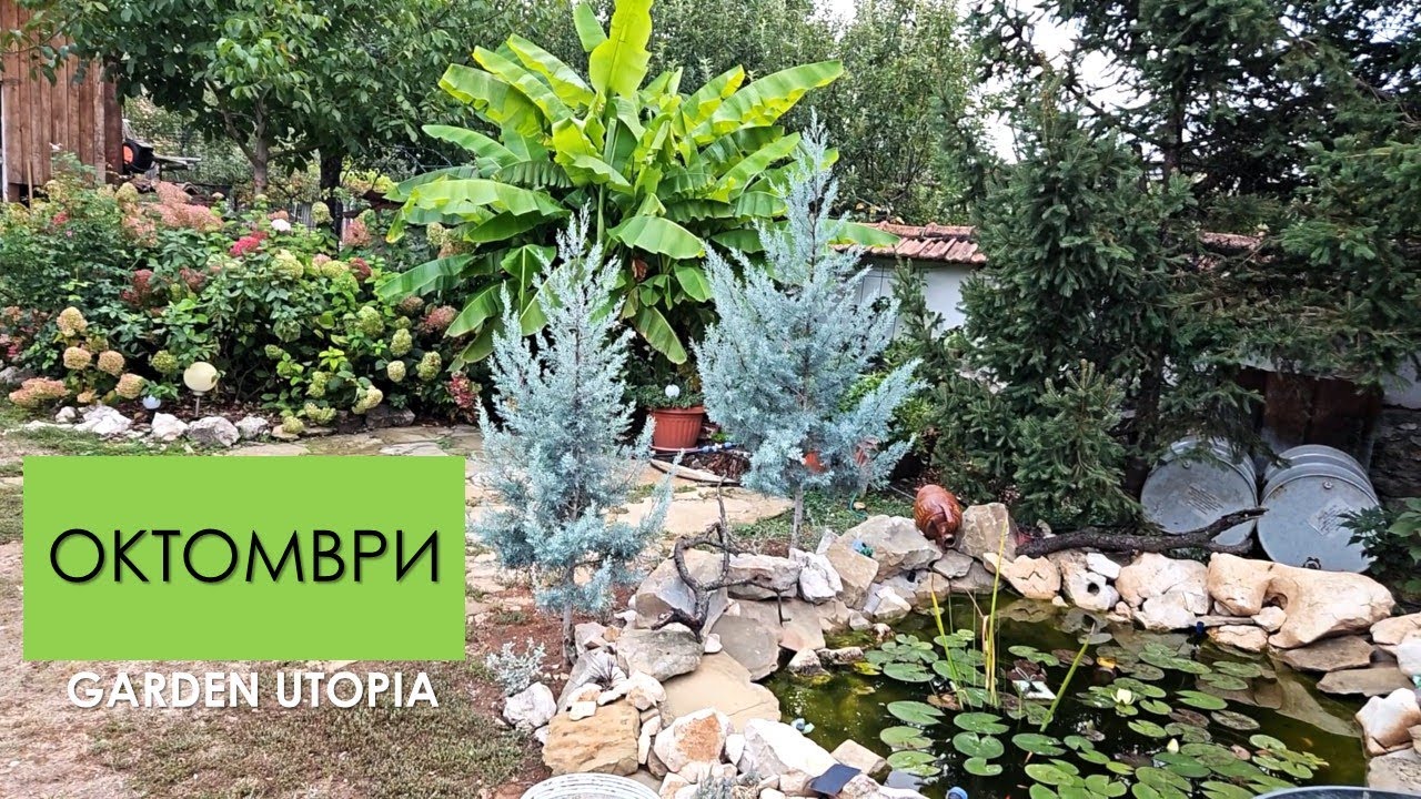 ОКТОМВРИ Е: Обиколка на градината #Ден 31 от 90 ДНИ НА СЕЛО