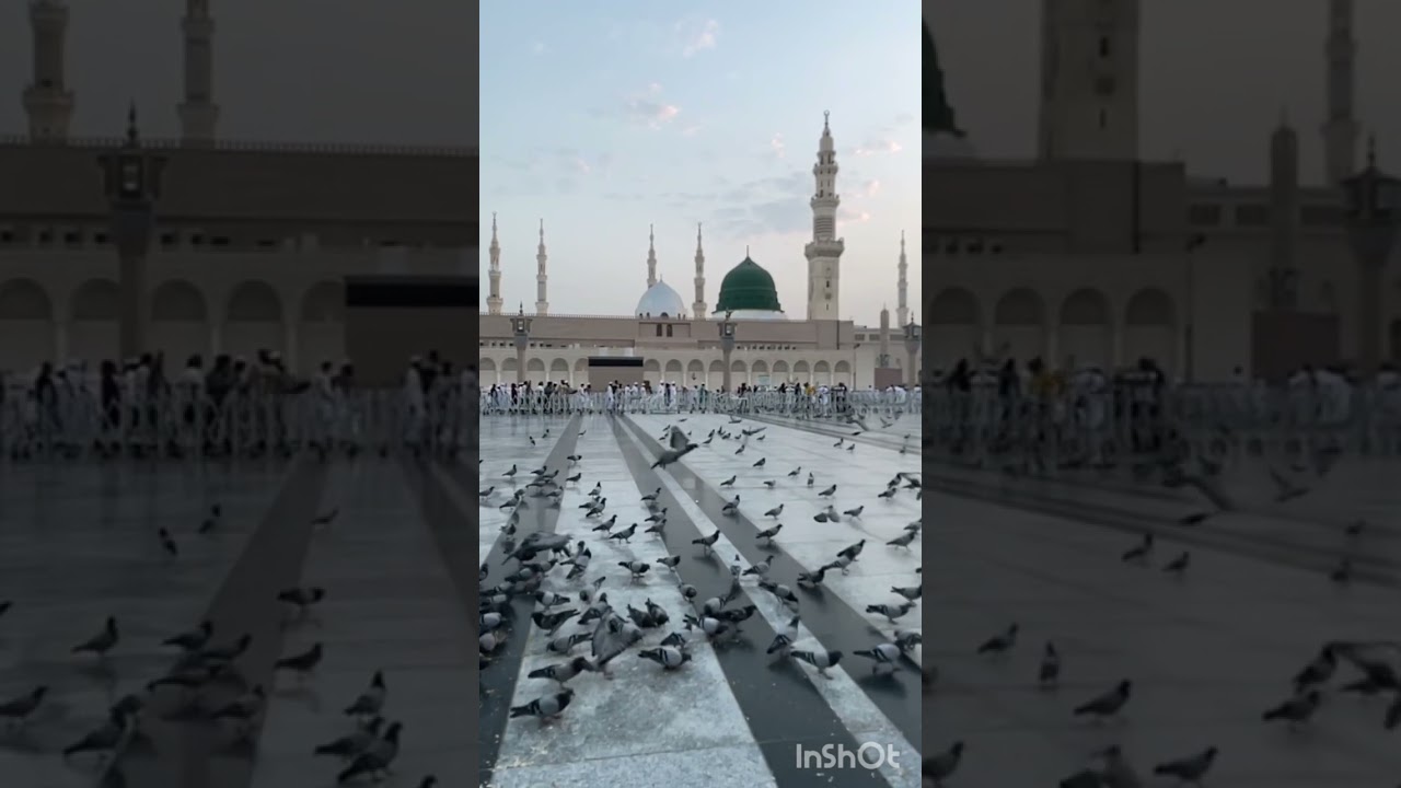 بارق المحبوب وينك .. المادح / مدثر عوض الجيد ..كلمات / المدثر ابوالقاسم