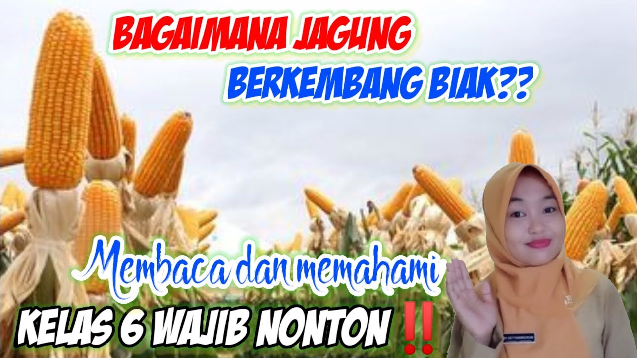 KELAS 6 WAJIB NONTON📌Cara Mudah Memahami Materi Soal Bhs Indo + IPA Tema 1 Selamatkan Makhluk Hidup