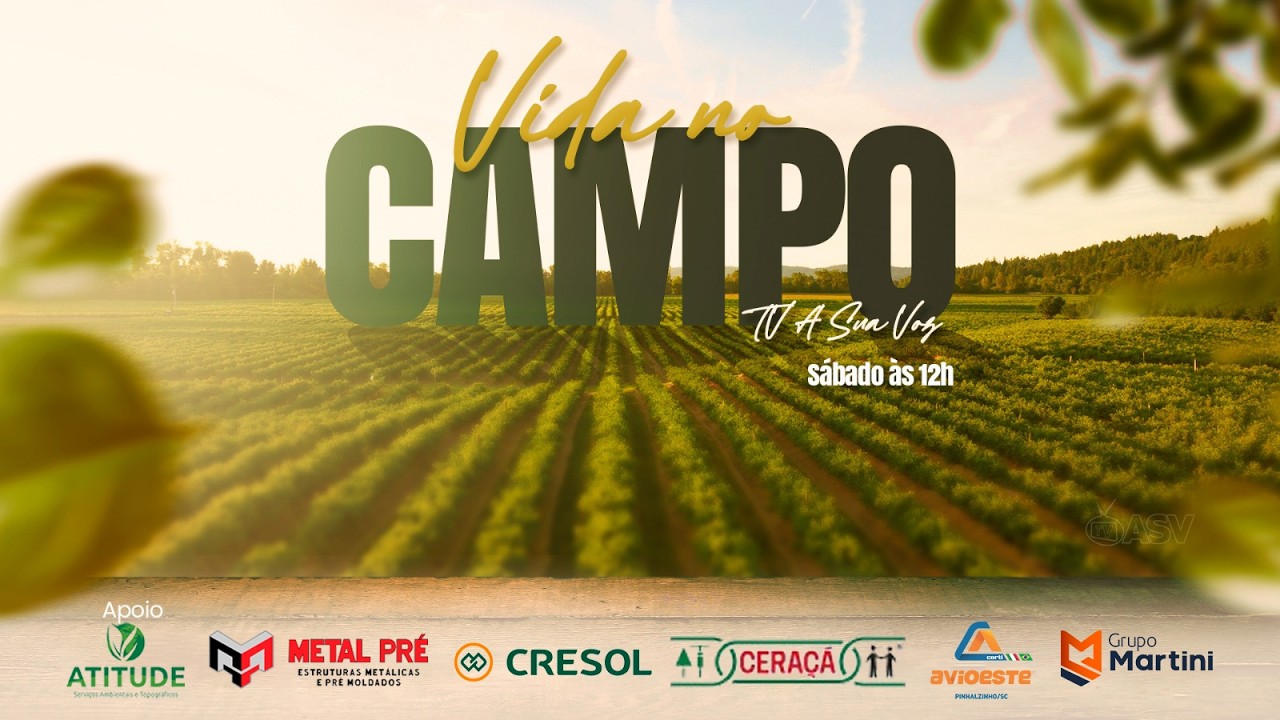 VIDA NO CAMPO – Vinhedo em Modelo impressiona visitantes com o tamanho dos cachos de uvas