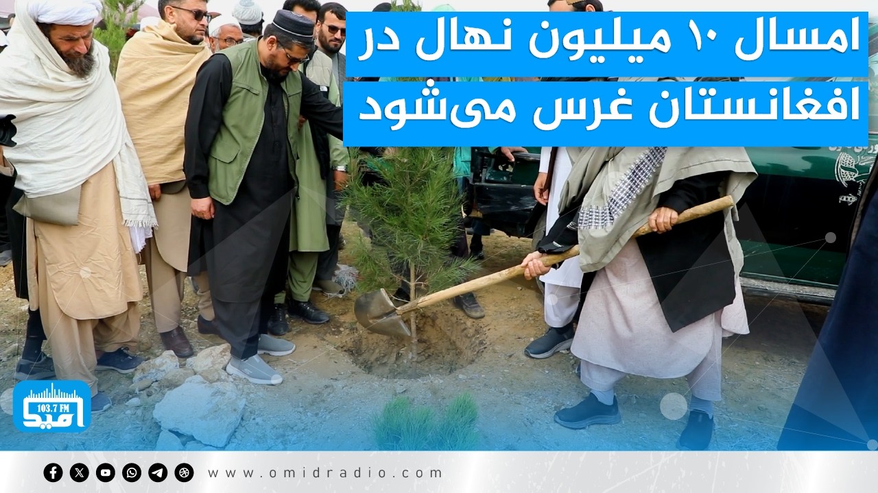 امسال ۱۰ میلیون نهال در افغانستان غرس می‌شود