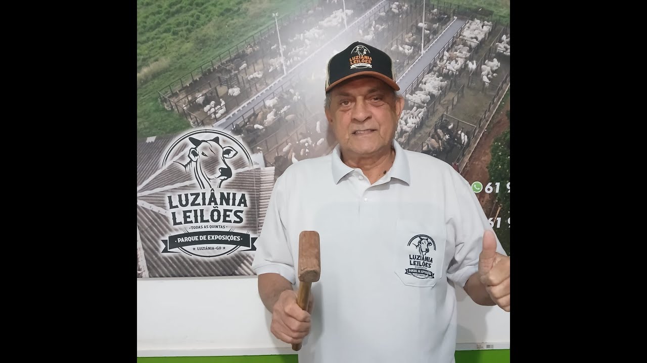 LUZIÂNIA LEILÕES - LUZIÂNIA - GO - 29/01/2026