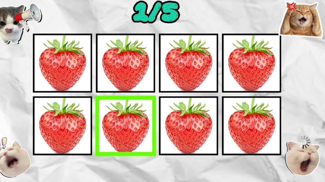 Say The word on beat challenge fruits 