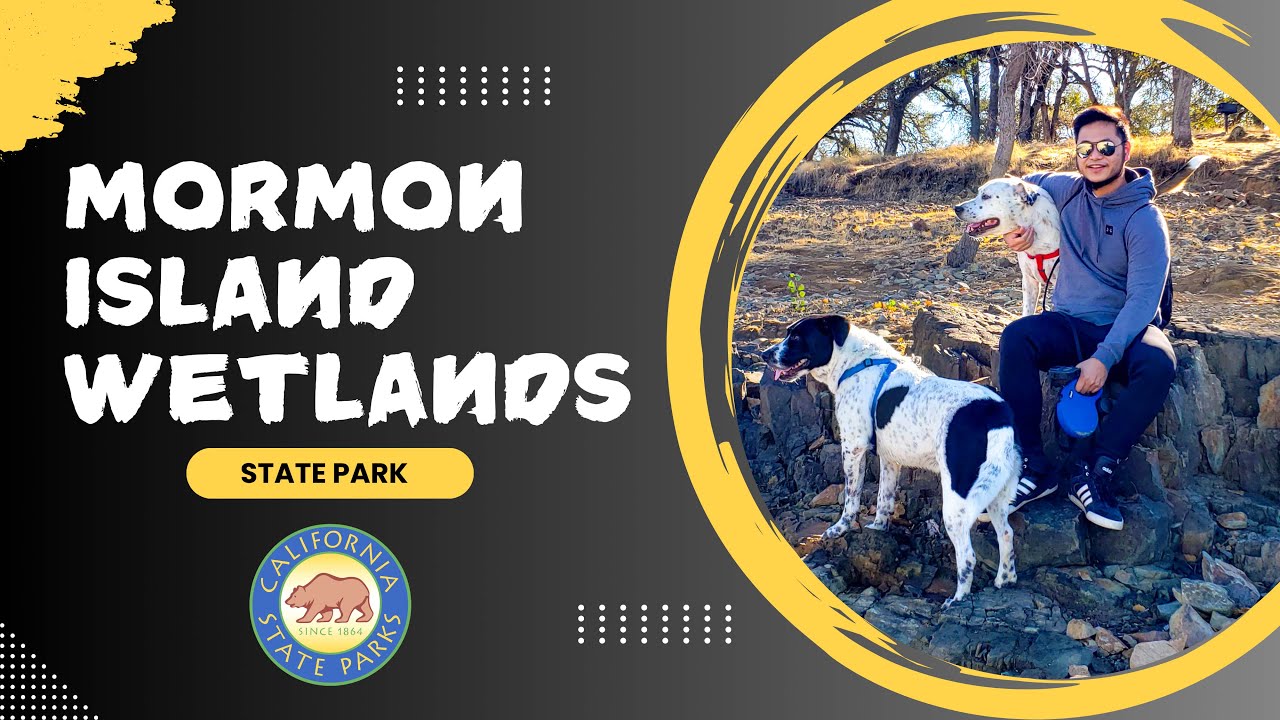 Paws & Paths: Adventure at Mormon Island Wetlands!