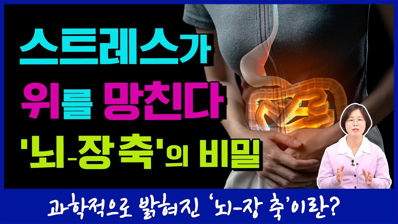 &ldquo;스트레스가 위장을 망치는 진짜 이유 &lsquo;뇌-장 축&rsquo;이란?&rdquo; | 건강쏙쏙 10편&rdquo;