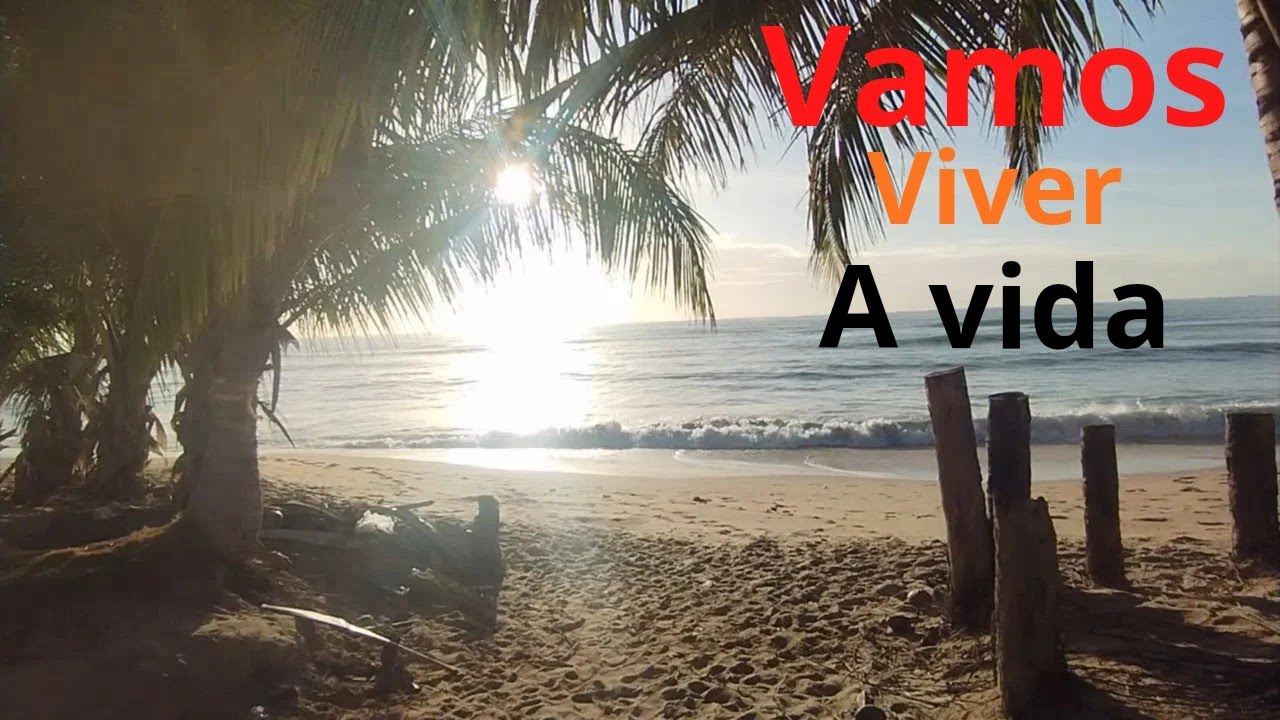 Isso é Bahia Brasil 🏖️