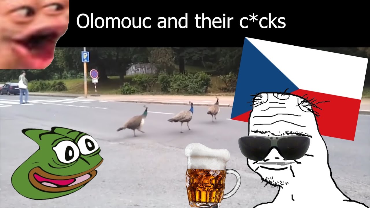 CZECH SLANDER (accurate)