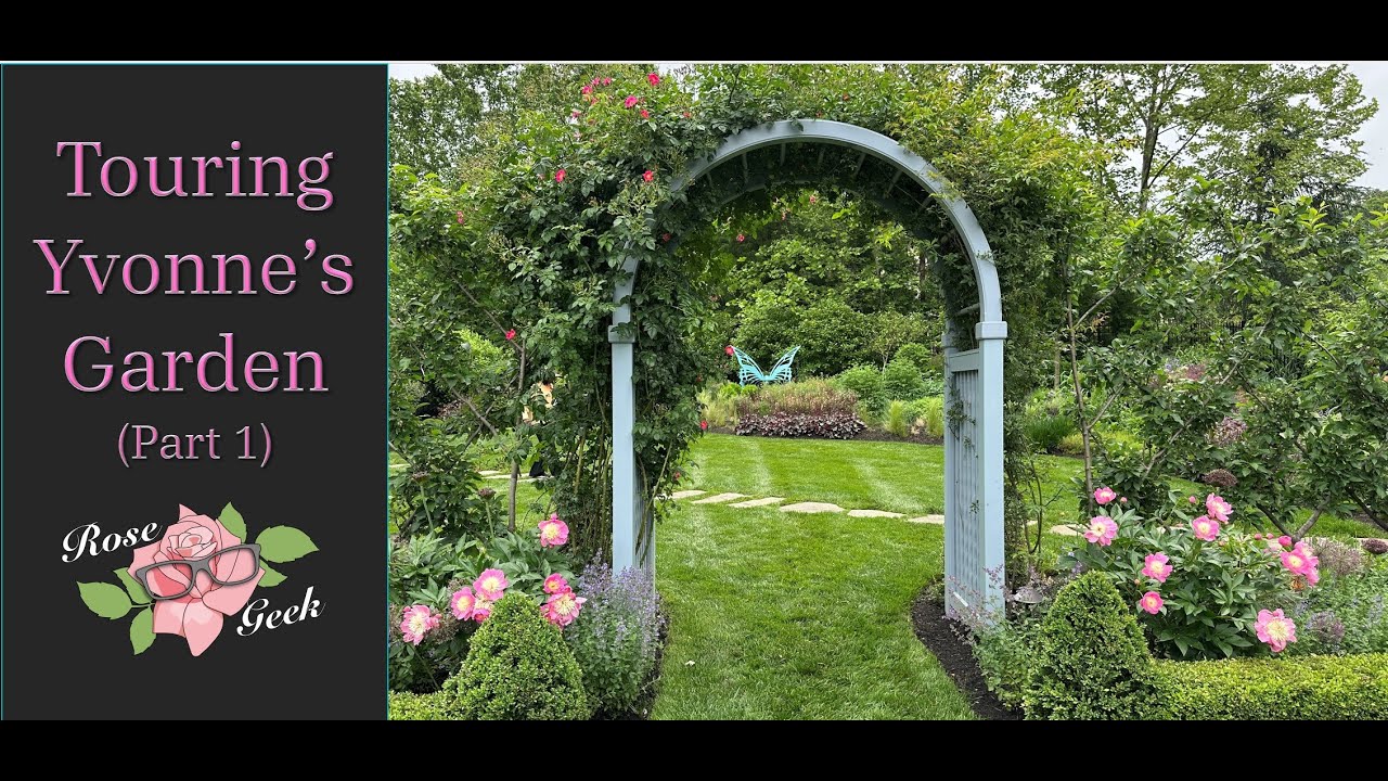 🌹A Peaceful Walk Through Yvonne's Garden / Beautiful Personal Gardens/ Zone 7b