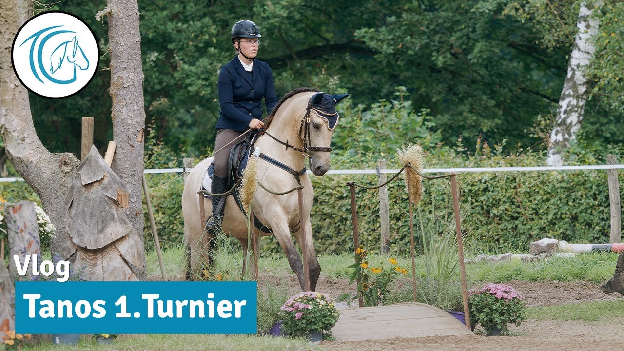 Unser 1. Working Equitation Turnier - Kommentierte Prüfungen der Klasse A