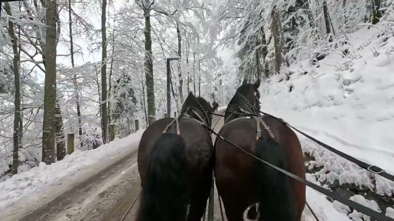 Take my house to the old town road