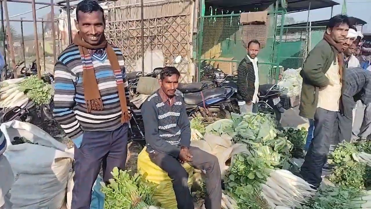 गोंडा सब्जी मंडी ब्लॉग्स वीडियो देखे पूरा वीडियो वायरल होगया| Gonda Sabji Mandi Vlogs Video Viral|