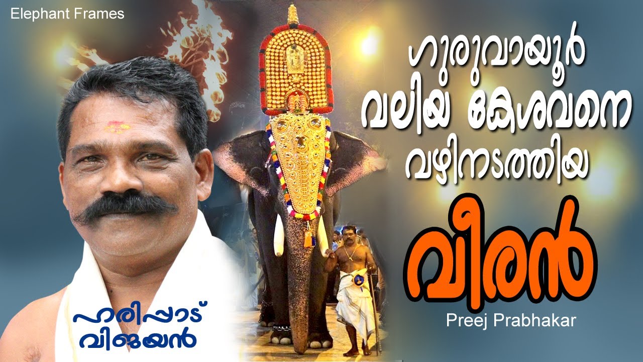 ഗുരുവായൂർ വലിയ കേശവനെ വഴിനടത്തിയ വീരൻ | Harippad Vijayan | Valiya Kesavan | PART 11