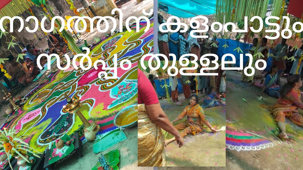 നാഗത്തിന് കളംപാട്ടും സർപ്പം തുള്ളലും കണ്ടാലോ 🙏🙏🙏