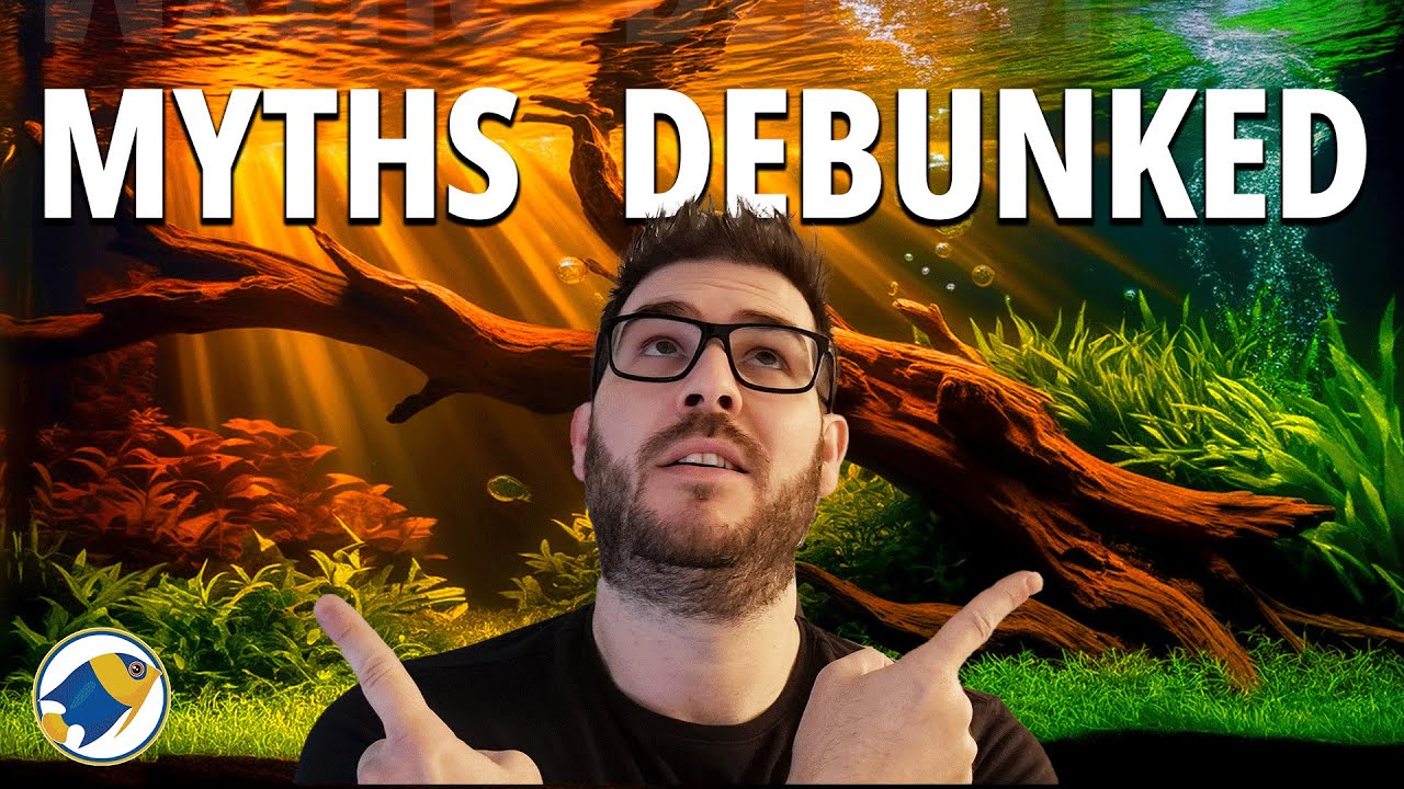 3 Blackwater Aquarium Myths Debunked (And 4 Surprising Truths)