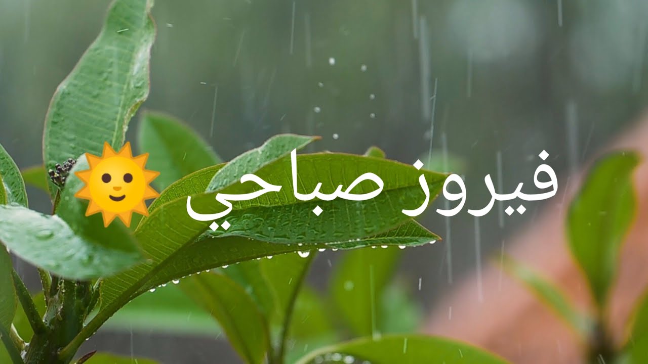 فيروزيات الصباح - صباحكم فيروزي -  fairuz