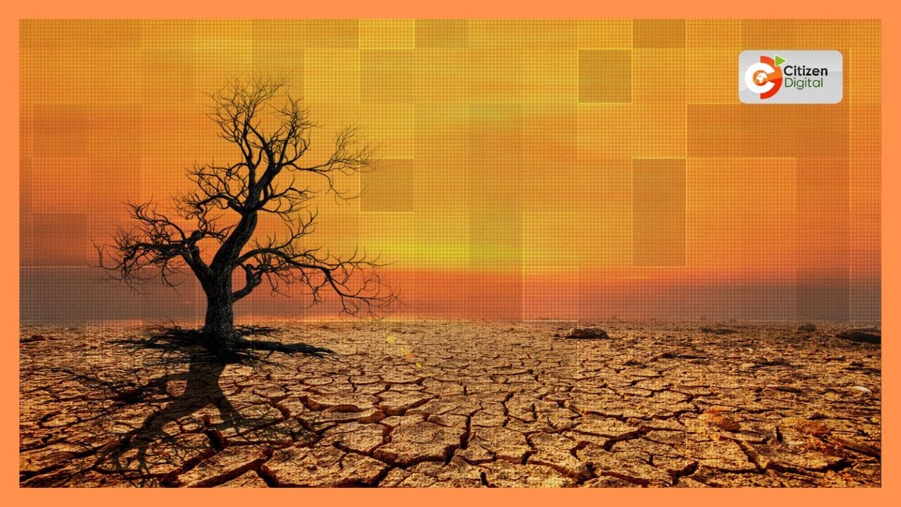 Northern Kenya Members of Parliament  raise alarm over looking drought
