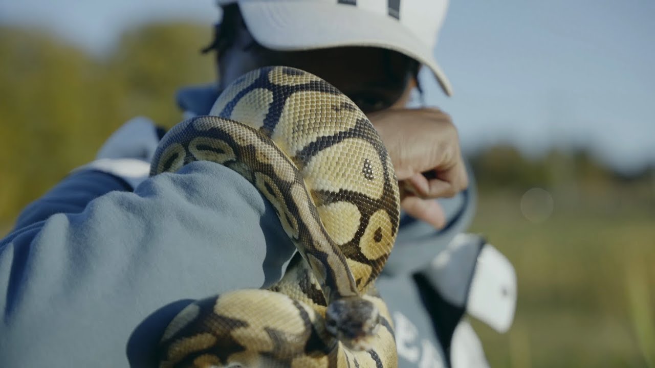 Slim Dinero - Around (Official Video)