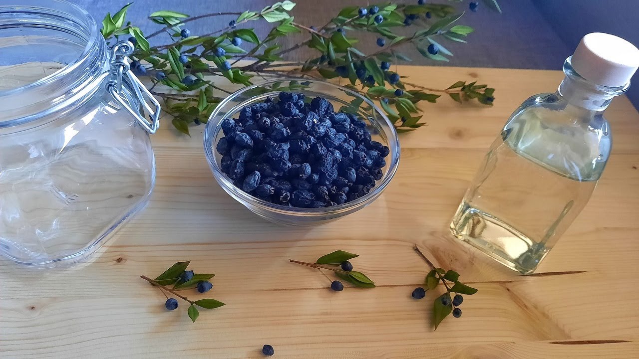 Liquore di Mirto fatto in casa | Ricetta Tradizionale e Storia