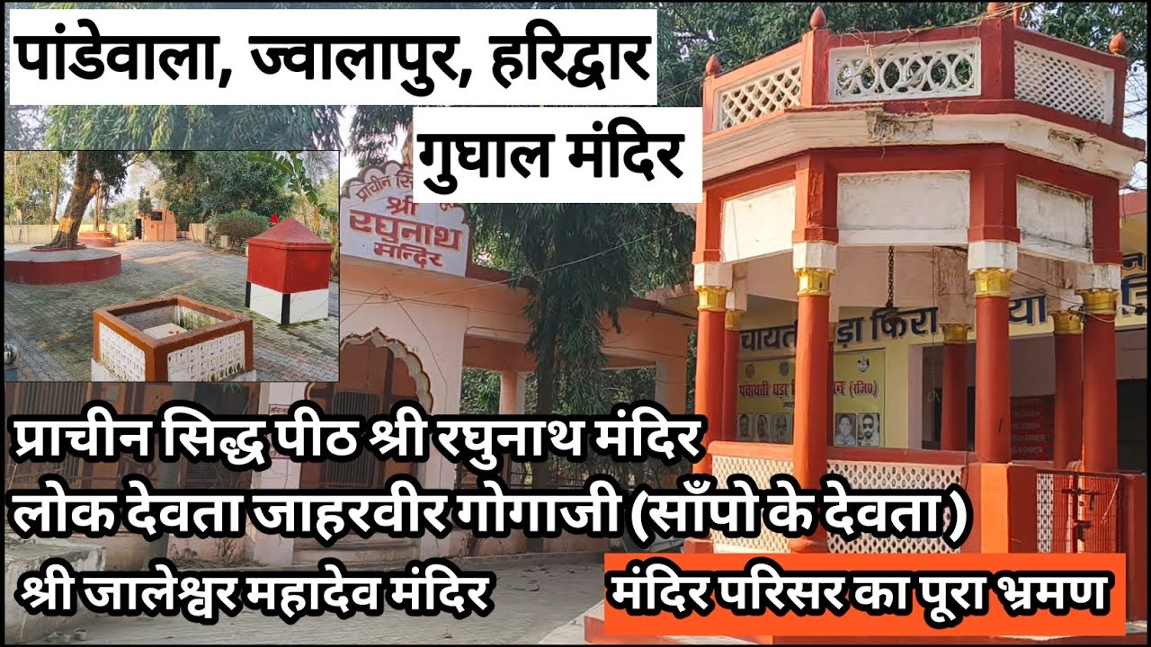 प्राचीन गुघाल मंदिर🚩हरे-भरे विशाल पीपल और बरगद के पुराने वृक्ष🚩चमगादड़🚩 पांडेवाला ज्वालापुर हरिद्वार 