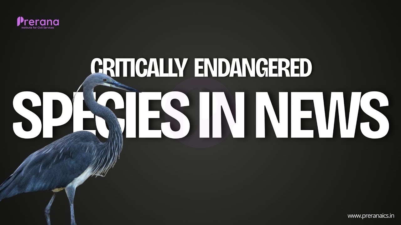 Critically Endangered Species in News | Class 24 | IUCN Red List #environmentcurrentaffairs