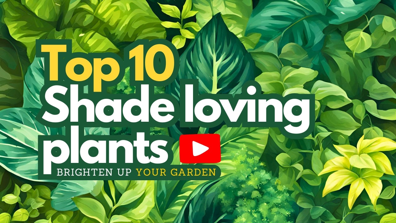 ▶️ Top 10 Shade-Loving Plants to Brighten Up Your Garden