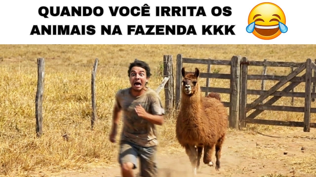 Memes para assistir com toda a família reunida 😂🤣 (TENTE NÃO RIR) 2026 atualizado 