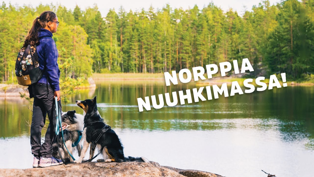 Suomi Lemmikin Silmin – Norppapolku