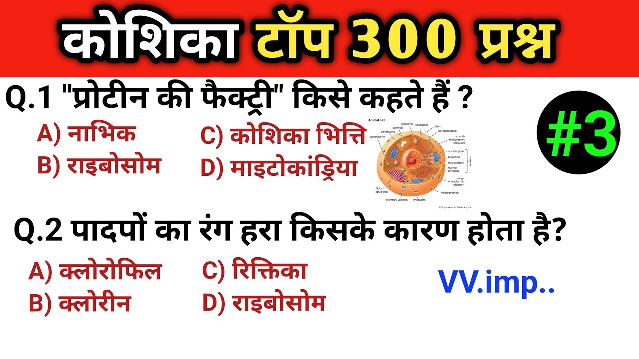 🧬 कोशिका टॉप 300 प्रश्न | Cell Biology GK in Hindi | SSC, RRB, UPSC, Railway 📘