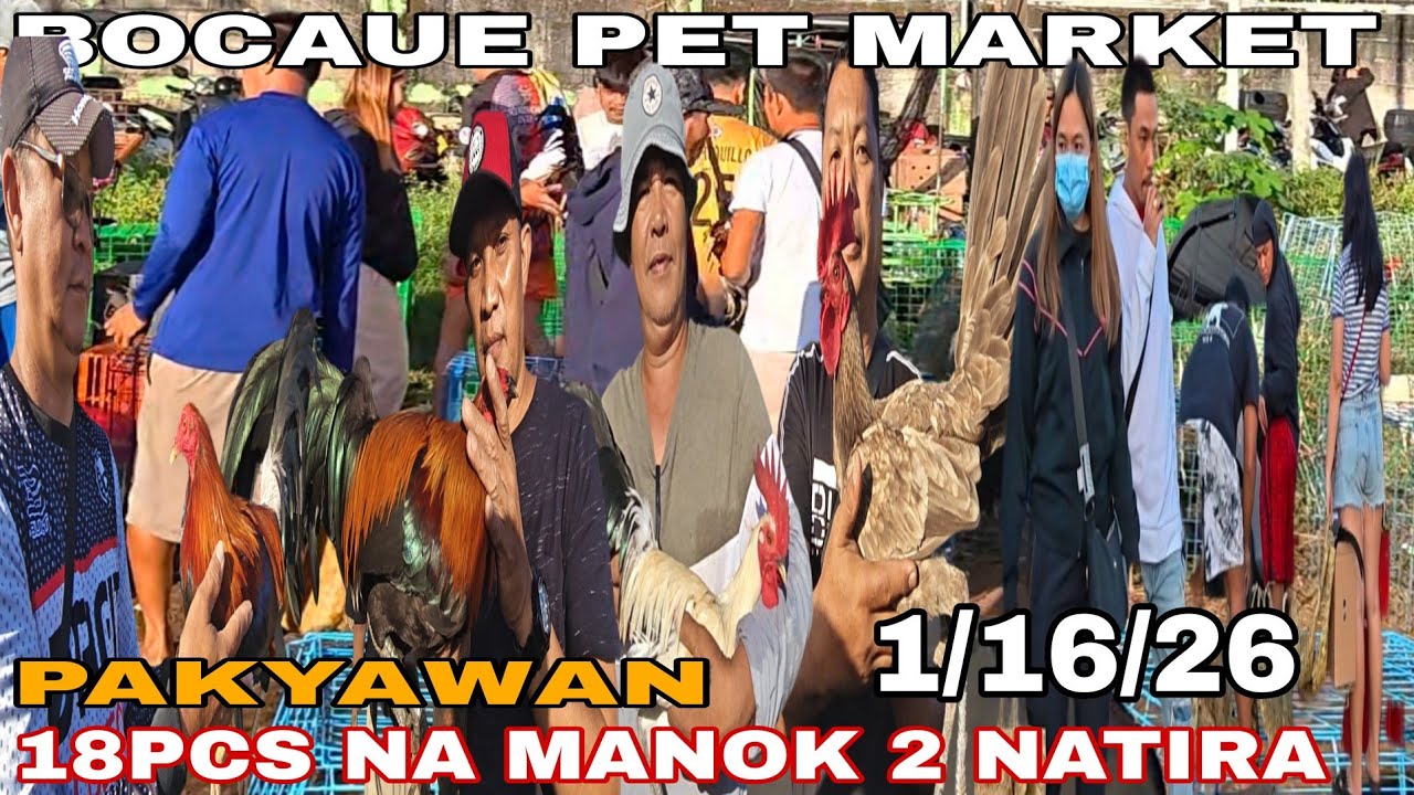 Dami namakyaw sa Bocaue paldo mga seller boss Hapon, Perry, rhod, nhoy, boss m, may farm breeder pa