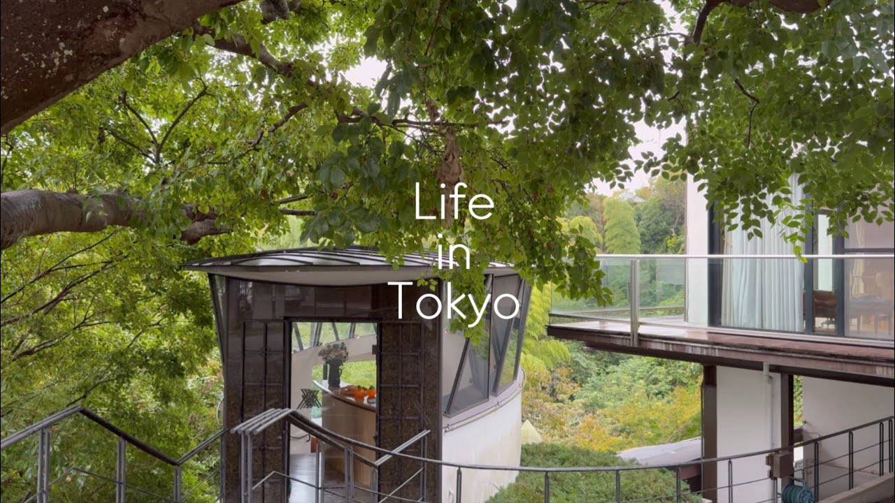 ENG/ 도쿄 브이로그 | 도쿄에서 보내는 추석, 맛찌개상의 치즈케이크 House of flavours 카마쿠라, 성시경 콘서트, Lonich 쿠라마에 커피 오마카세