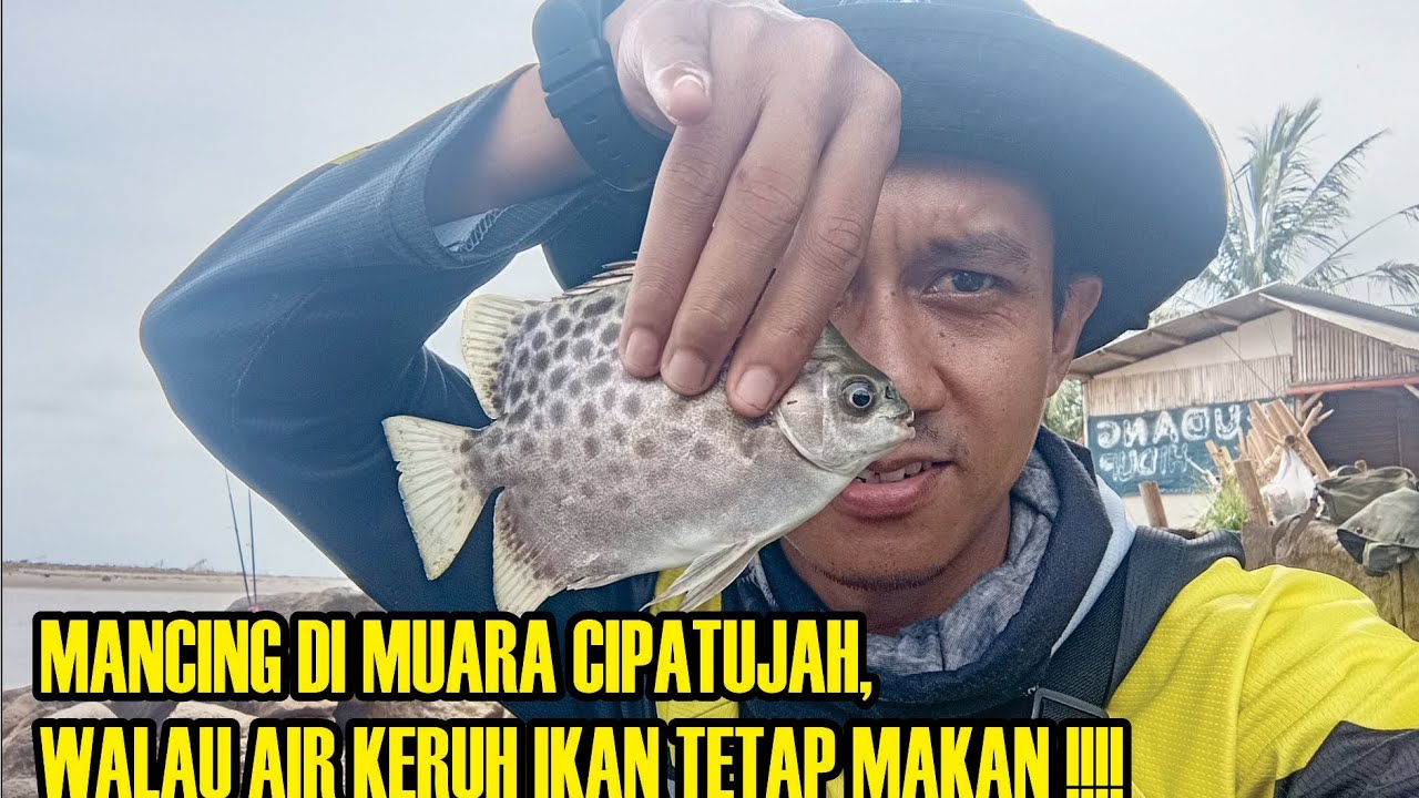 Video Pull petualangan mancing di muara sungai‼️air keruh ikan tetap makan