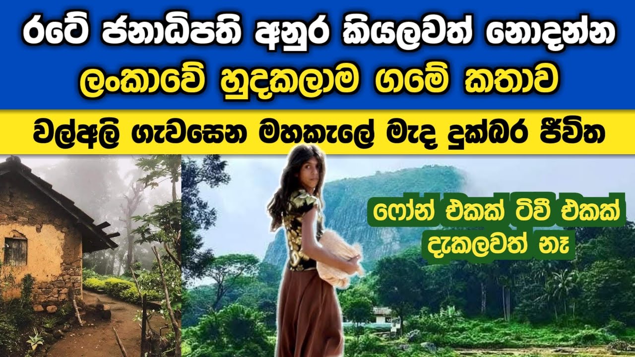 වල්අලි ගැවසෙන මහකැලේ මැද තියෙන ලංකාවේ හුදකලාම ගම්මානය|udagaladebokka|village|jungle life|gossip