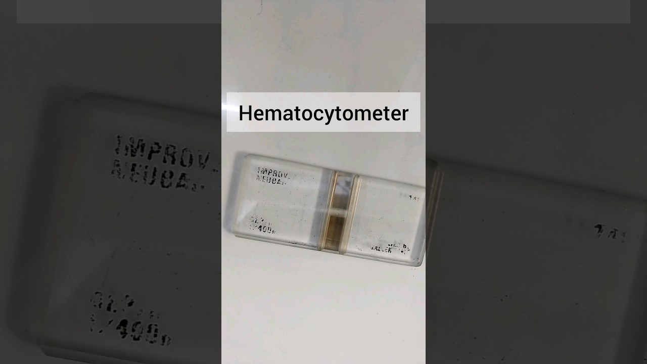 How to Count Cells Using a Hemocytometer