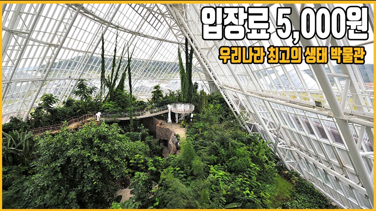 우리나라 사람 90프로가 모르는 가성비 극강의 생태 박물관!! [애니몰로TV]