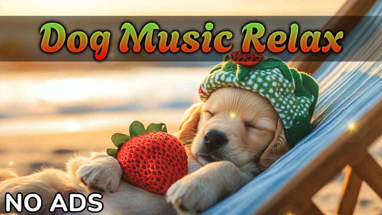 Музыка для собак 🐶 Нежная целебная музыка | Расслабь собаку и помоги уснуть