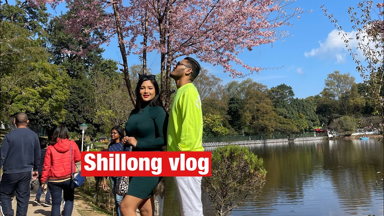 SHILLONG CHERRY BLOSSOM 🌸 || GEMSRI DAIMARI || EPISODE -430