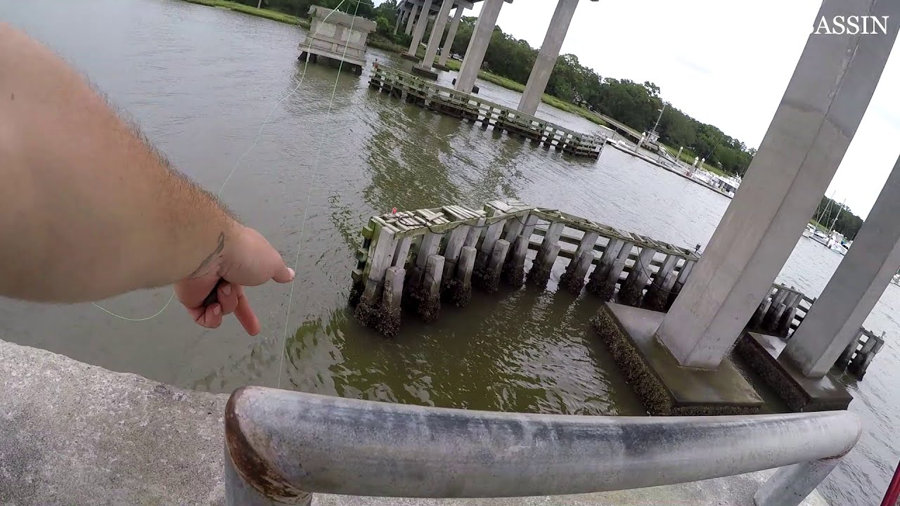 Jekyll Island Fishing | Pier & Bridge