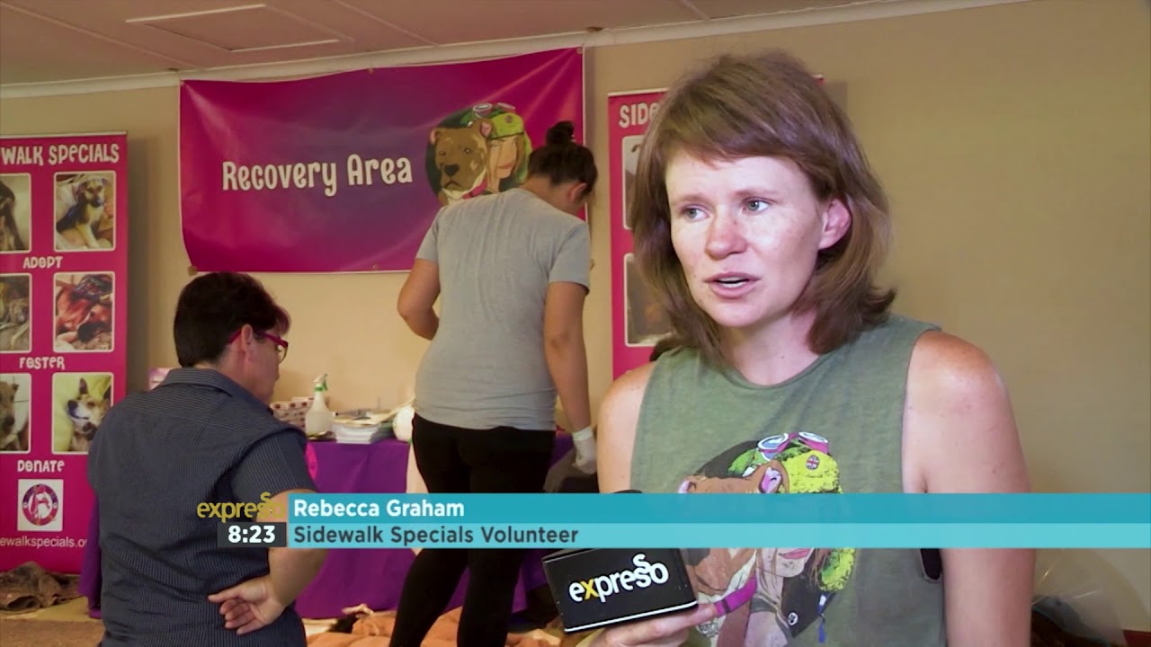 Sidewalk Specials help sterilize 403 dogs in De Doorns, plus Hill’s Pet Nutrition donate food