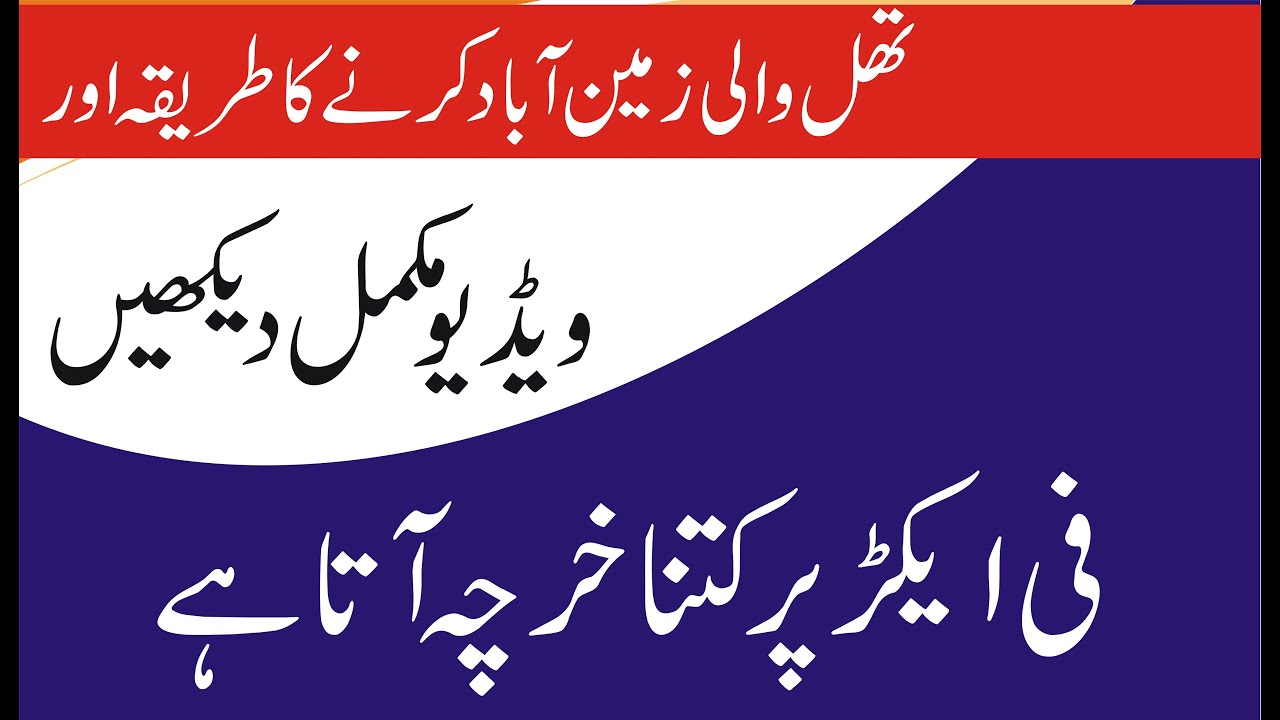 Land  sale and Purchase dealer Rana Sajid   Noor Pur Thall | Zameen  | Agricultural 03003966032