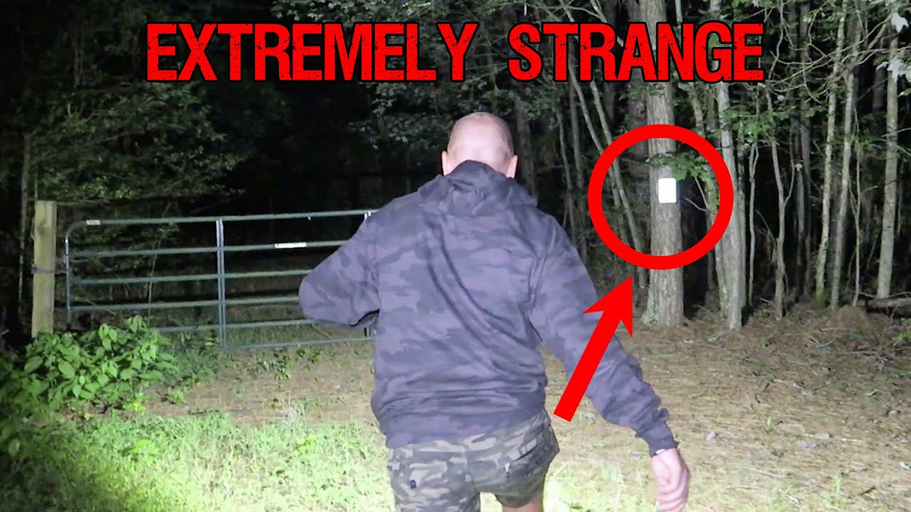 **CREEPY** RANDONAUTICA INSIDE THE POCOMOKE FOREST TOOK US HERE